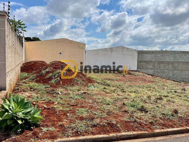 #40 - Terreno para Venda em Arapongas - PR - 3