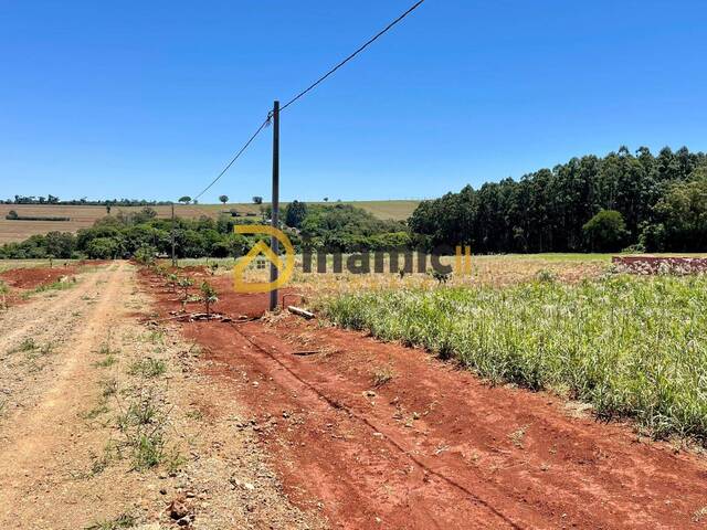 #45 - Terreno para Venda em Arapongas - PR