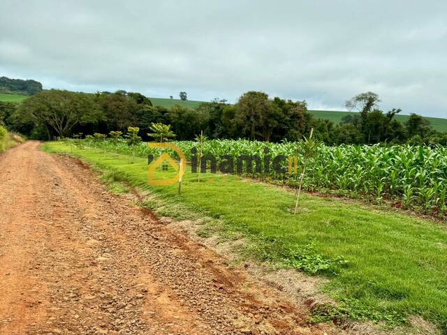 #47 - Chácara para Venda em Arapongas - PR - 1