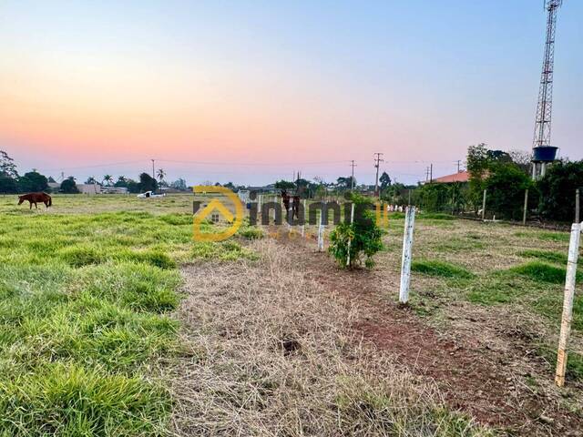 #49 - Terreno para Venda em Astorga - PR