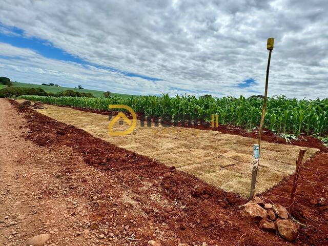 #50 - Chácara para Venda em Arapongas - PR