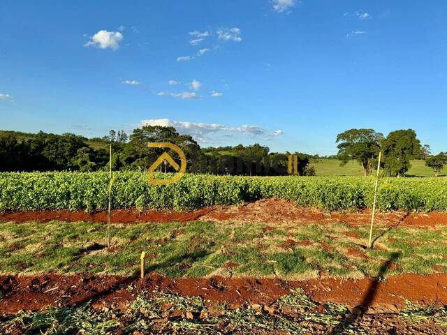 #52 - Chácara para Venda em Arapongas - PR - 3