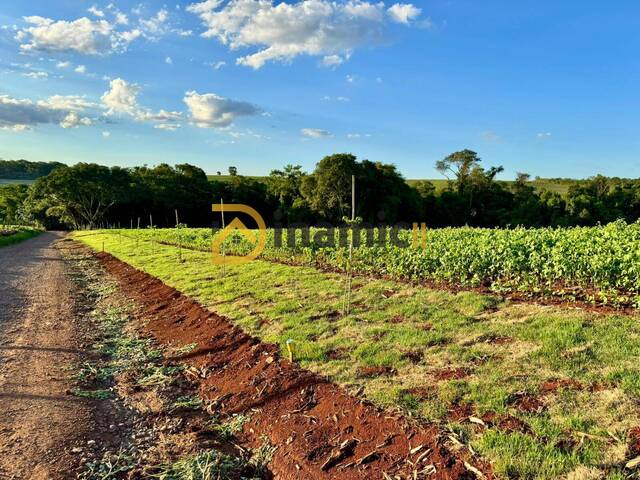 Chácara para Venda em Arapongas - 4
