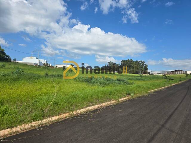 #78 - Terreno para Venda em Arapongas - PR