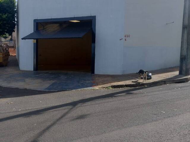 Barracão para Locação em Arapongas - 2