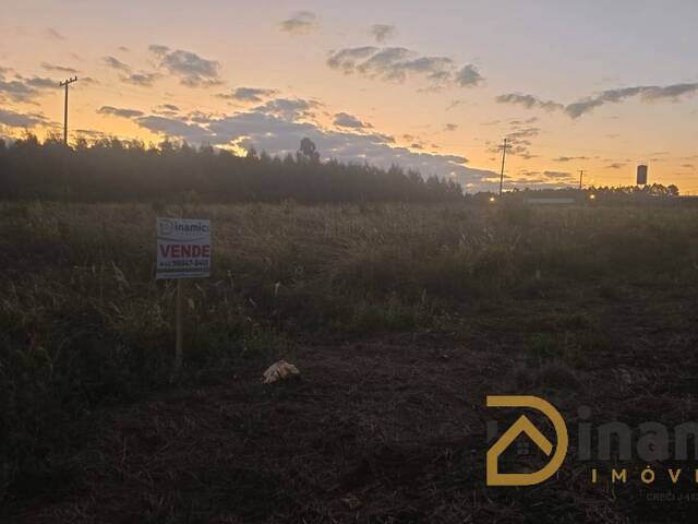 #212 - Terreno para Venda em Arapongas - PR