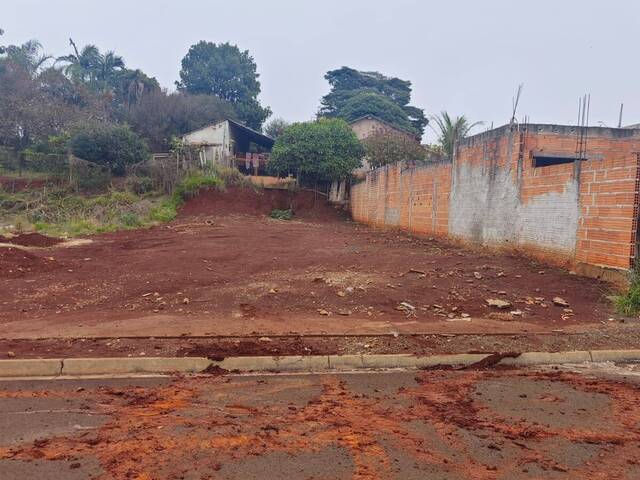 #229 - Terreno para Venda em Arapongas - PR