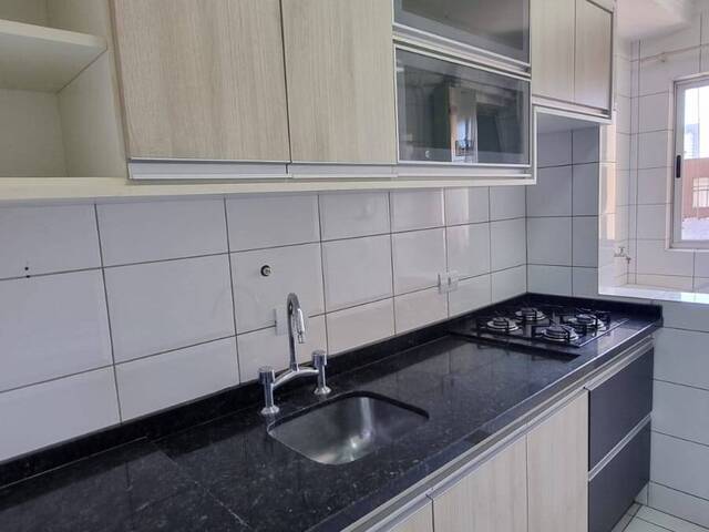 Apartamento para Locação em Arapongas - 4