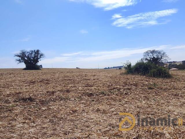 #312 - Área para Venda em Arapongas - PR