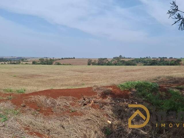 Venda em Conjunto Tropical - Arapongas