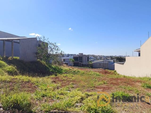 #369 - Terreno para Venda em Arapongas - PR