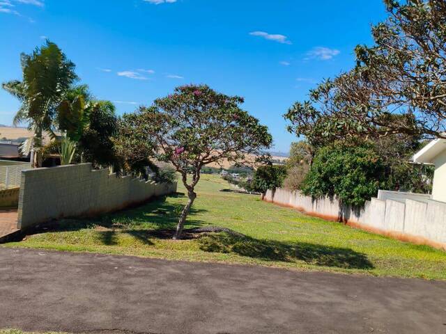 #395 - Terreno para Venda em Arapongas - PR