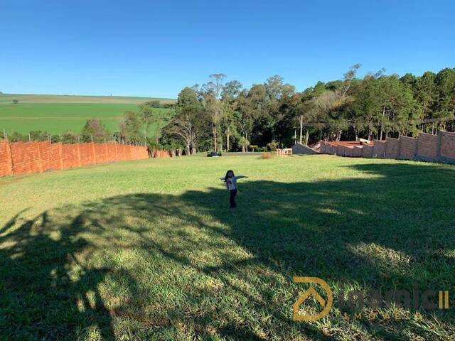 #475 - Área para Venda em Arapongas - PR