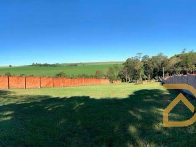 #475 - Área para Venda em Arapongas - PR