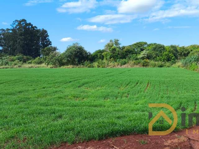 #537 - Chácara para Venda em Arapongas - PR