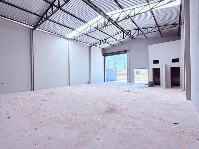 Barracão para Venda em Arapongas - 4