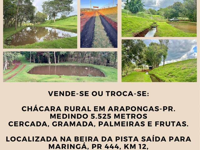 #640 - Chácara para Venda em Arapongas - PR