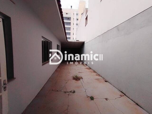 Casa para Locação em Arapongas - 5
