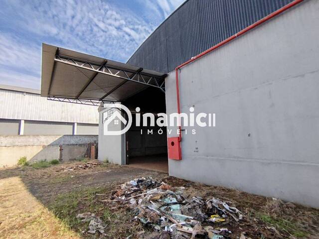 #706 - Sala para Locação em Arapongas - PR
