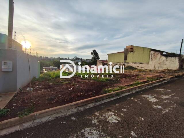 #724 - Terreno para Venda em Arapongas - PR