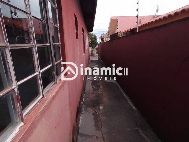 Casa para Locação em Arapongas - 5